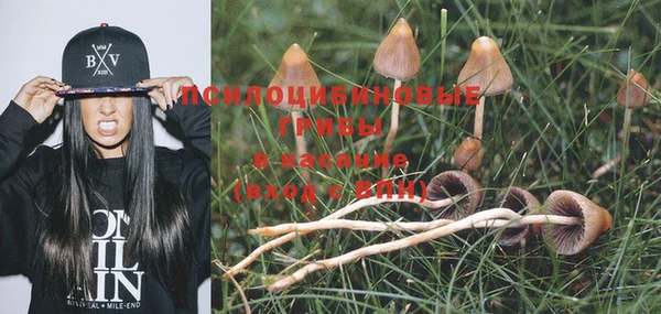 apvp Няндома