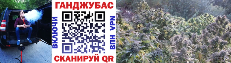 Бошки марихуана сатива  omg онион  Почеп 